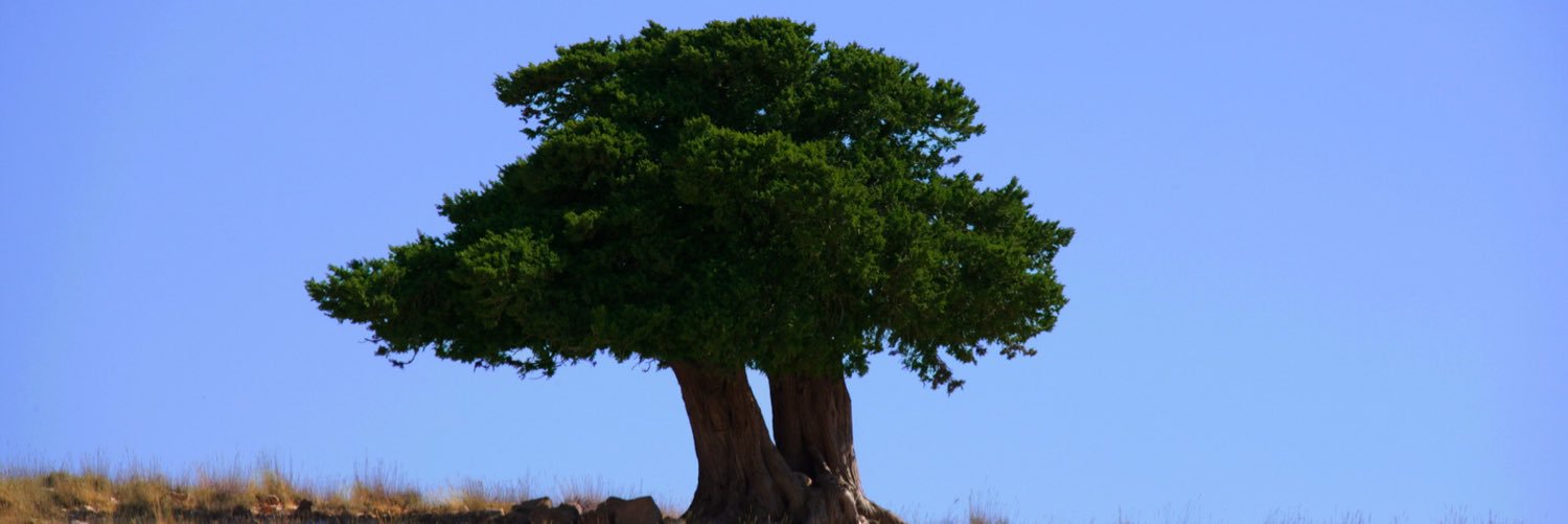 gabyreaidy's profile banner image