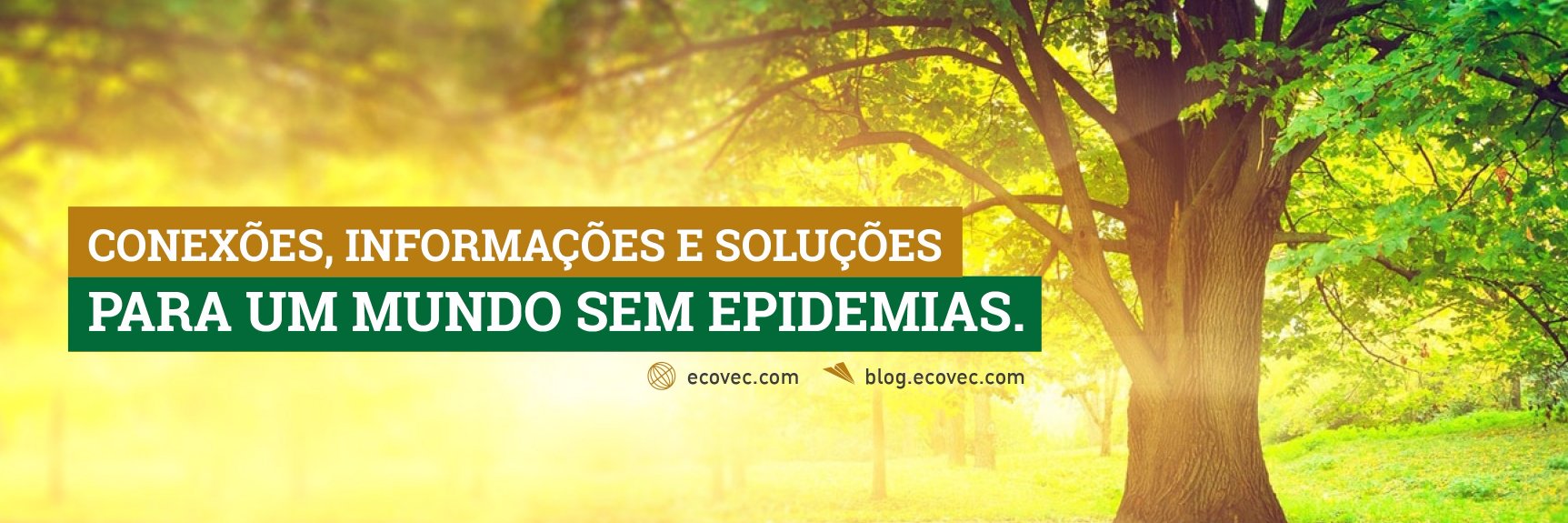 ecovec's profile banner image