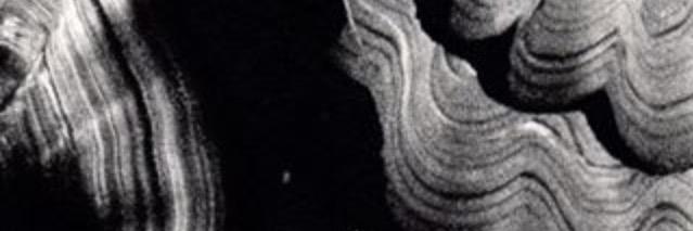 VVOVNDS's profile banner image
