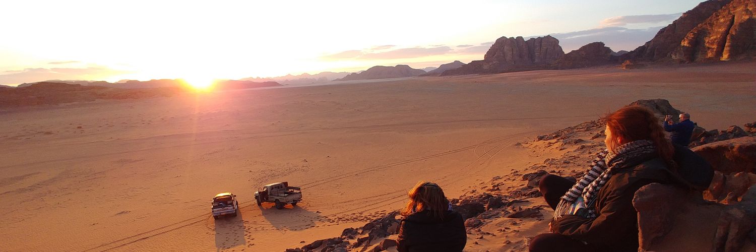 Cerebrity 🧠👑🔬 banner