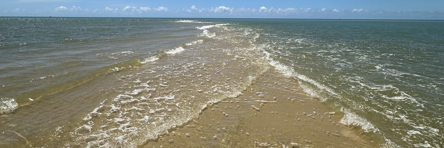 André Coelho 🏳️🏴 banner