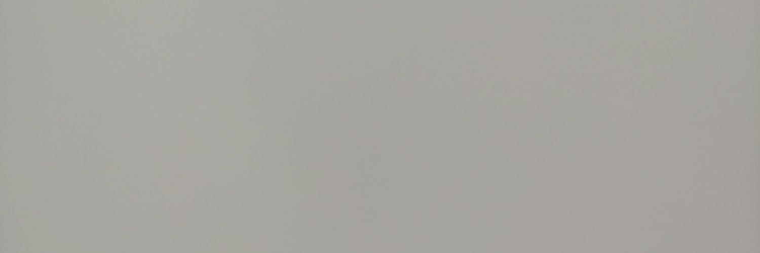 soydearagonko's profile banner image
