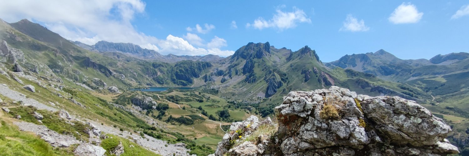 pedrofide's profile banner image