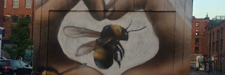 lozsuckss's profile banner image