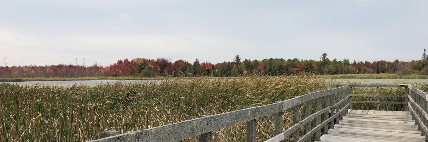w_grimes's profile banner image