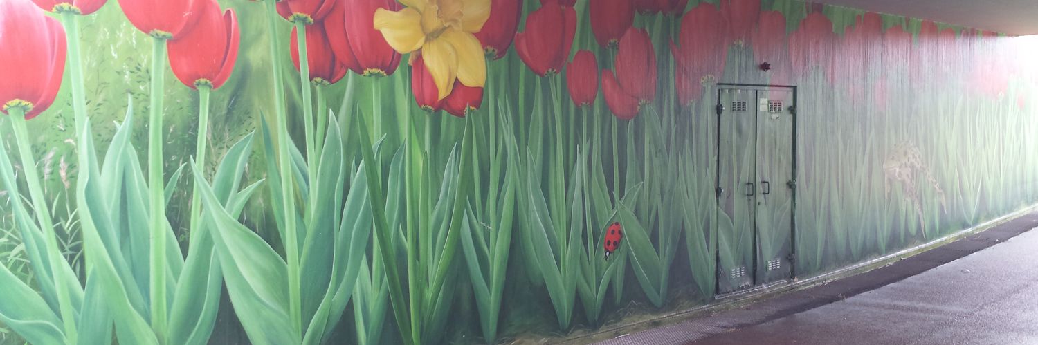 aad k⭕️ster banner