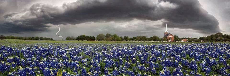 lorialicehicks's profile banner image