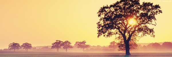 Adelina Owens Profile Banner