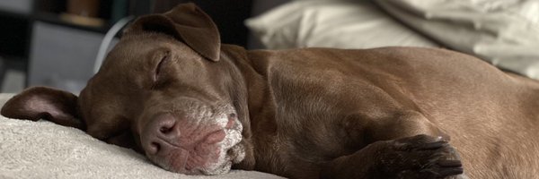 kmoyseenko Profile Banner