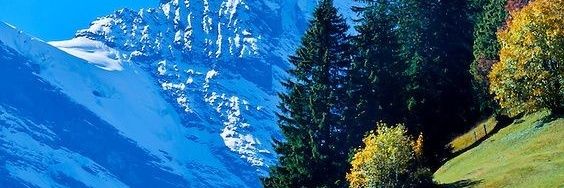 Sebastián Rodríguez banner