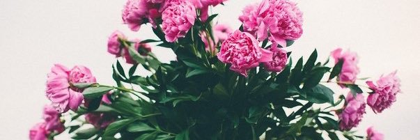 Tann_rosee's profile banner image