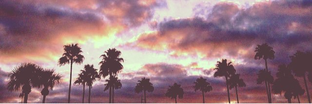 rach__kate's profile banner image