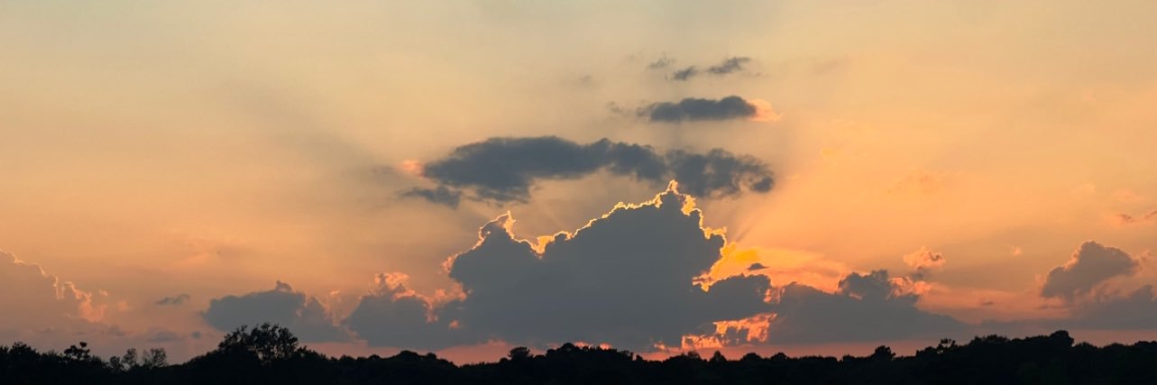 Rachel_Berch's profile banner image