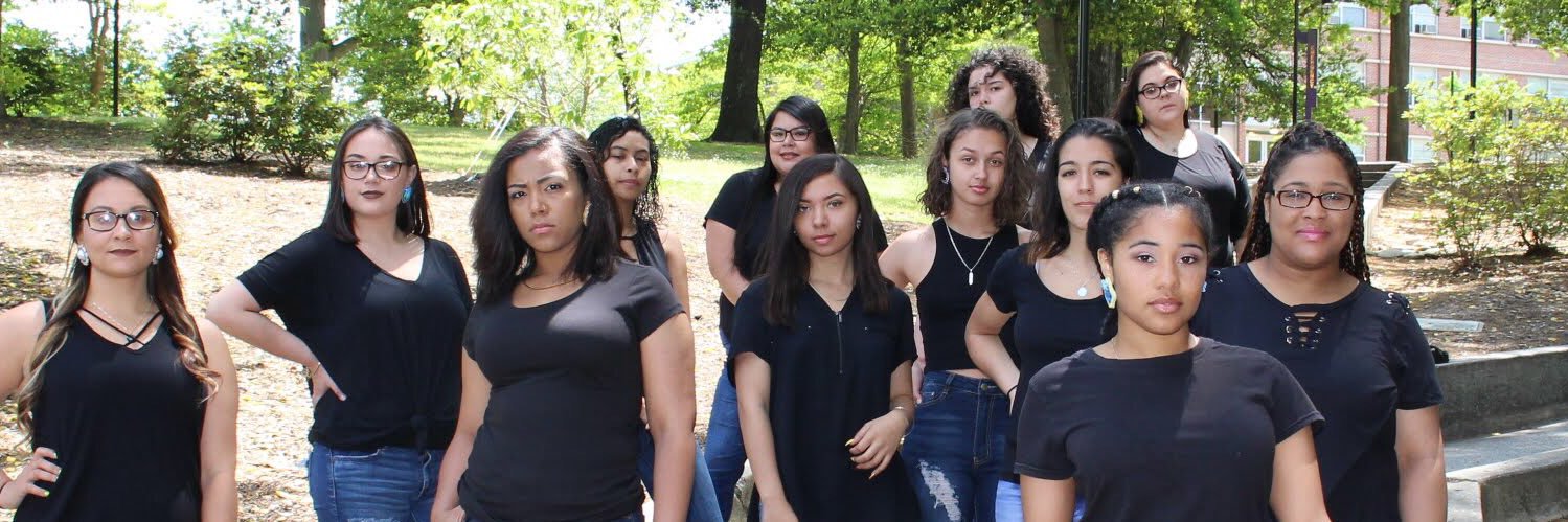 ΣOE Sorority, Inc 🦋 banner