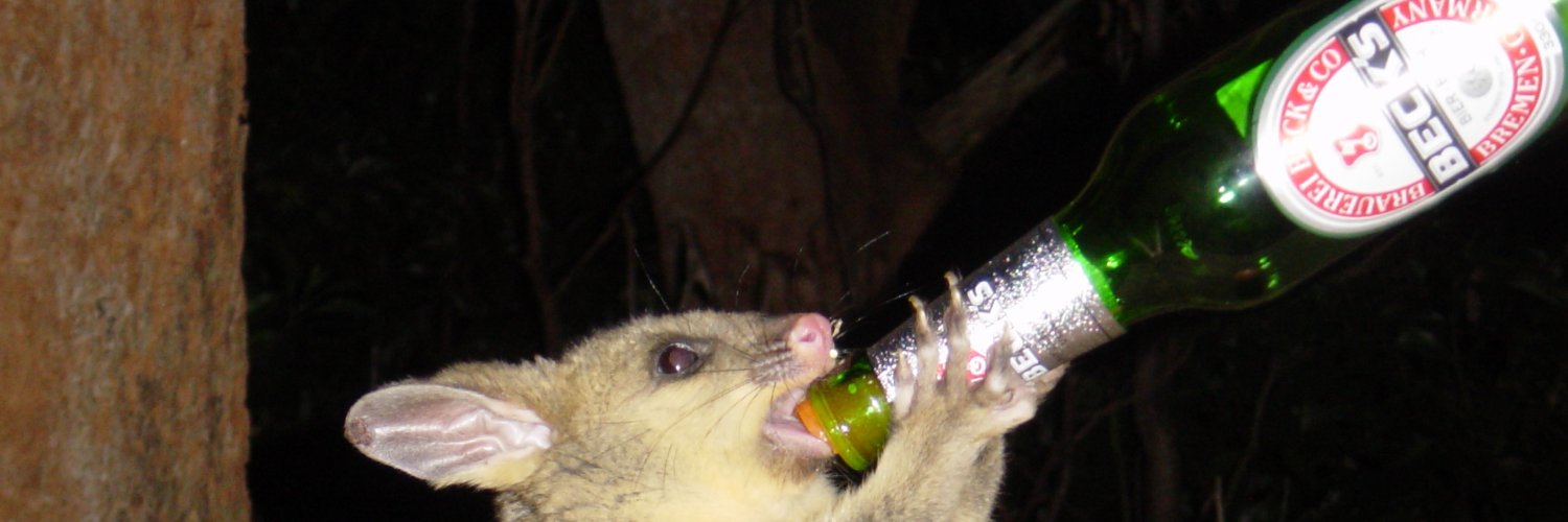 Cryin2Radiohead's profile banner image