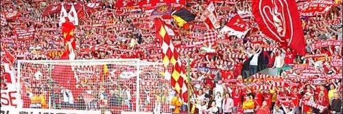 Shorty Stevenson banner