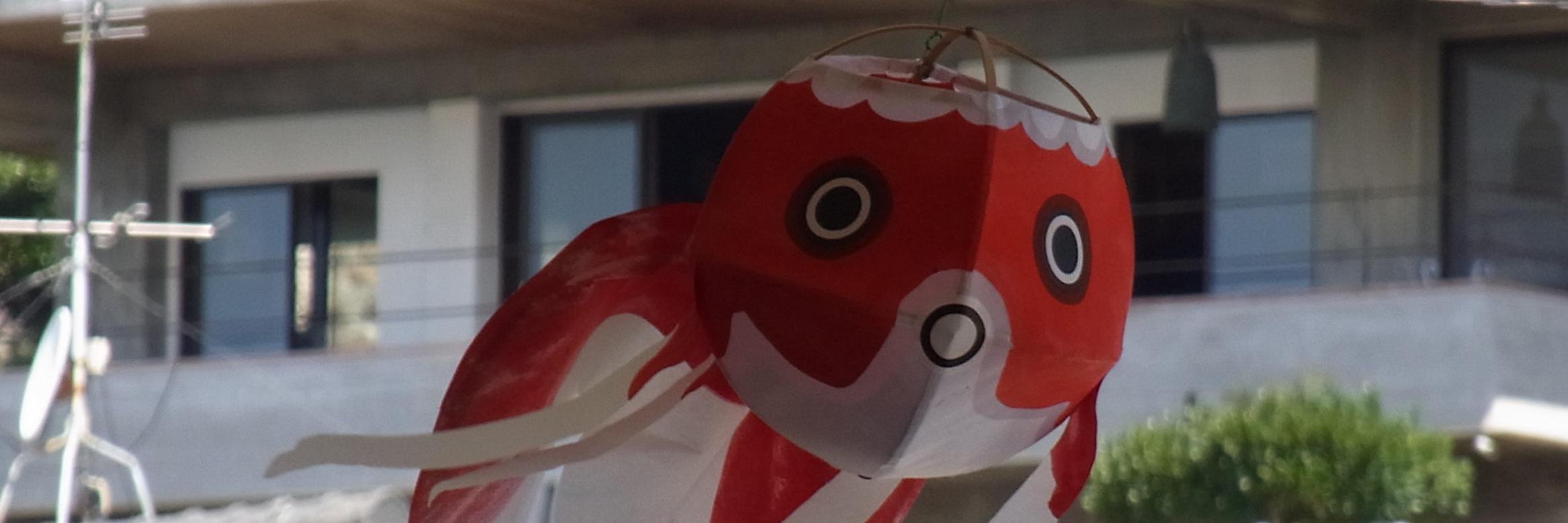 叶救悟 banner