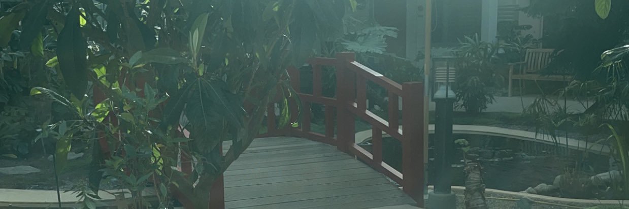 Carrotvini's profile banner image
