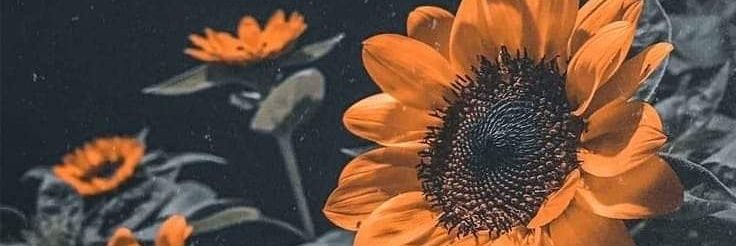 Ticr24's profile banner image