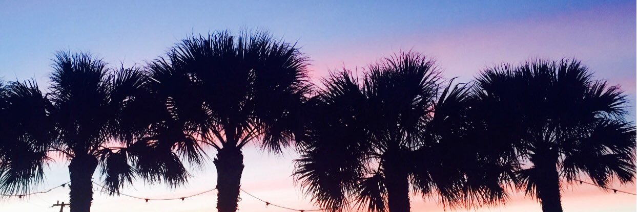 mollysauer1's profile banner image