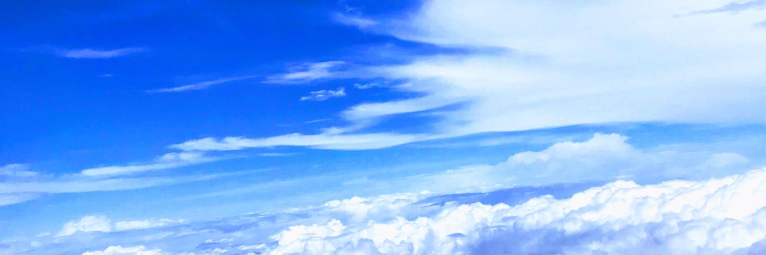 lizels's profile banner image