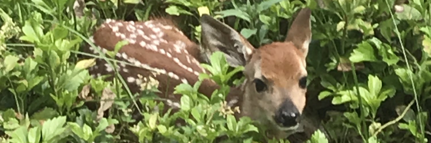 Polyesther123's profile banner image