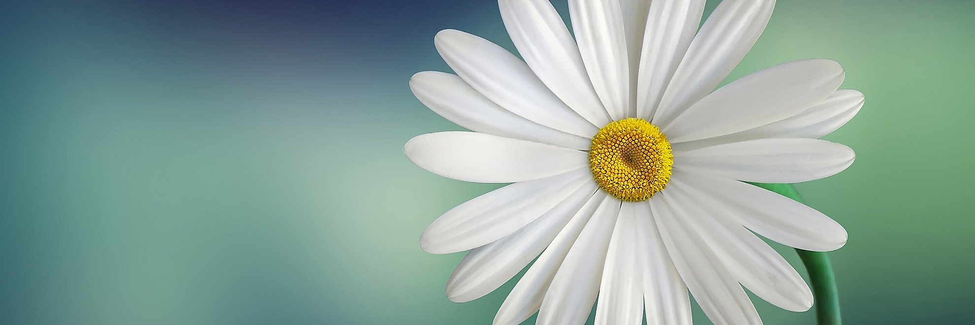 Akasha_App's profile banner image