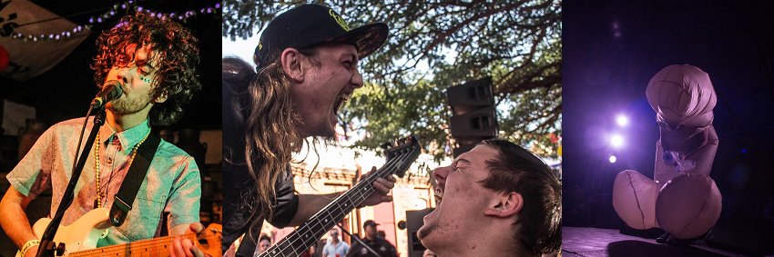 Running Wolf's Rant banner