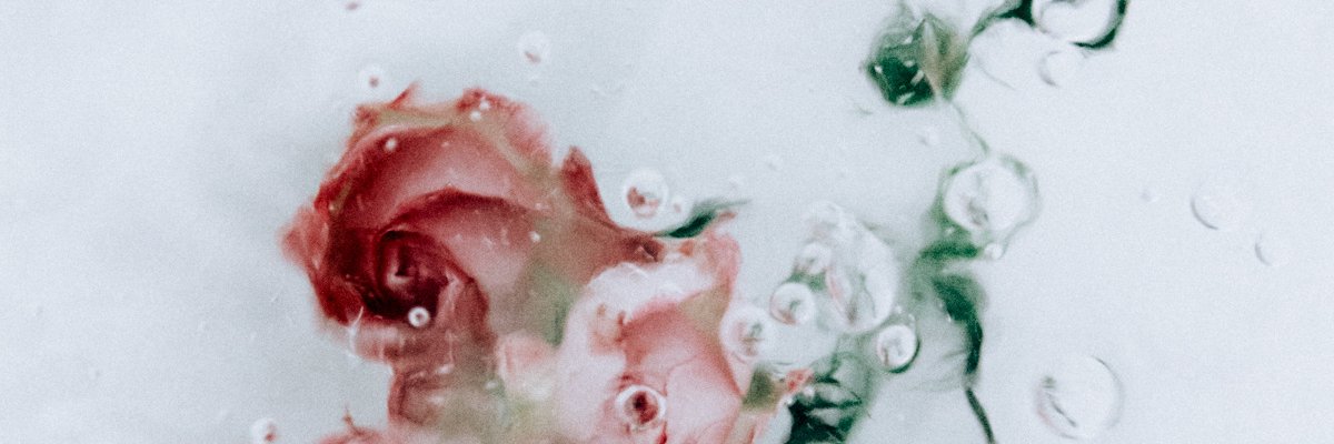 tchychx's profile banner image