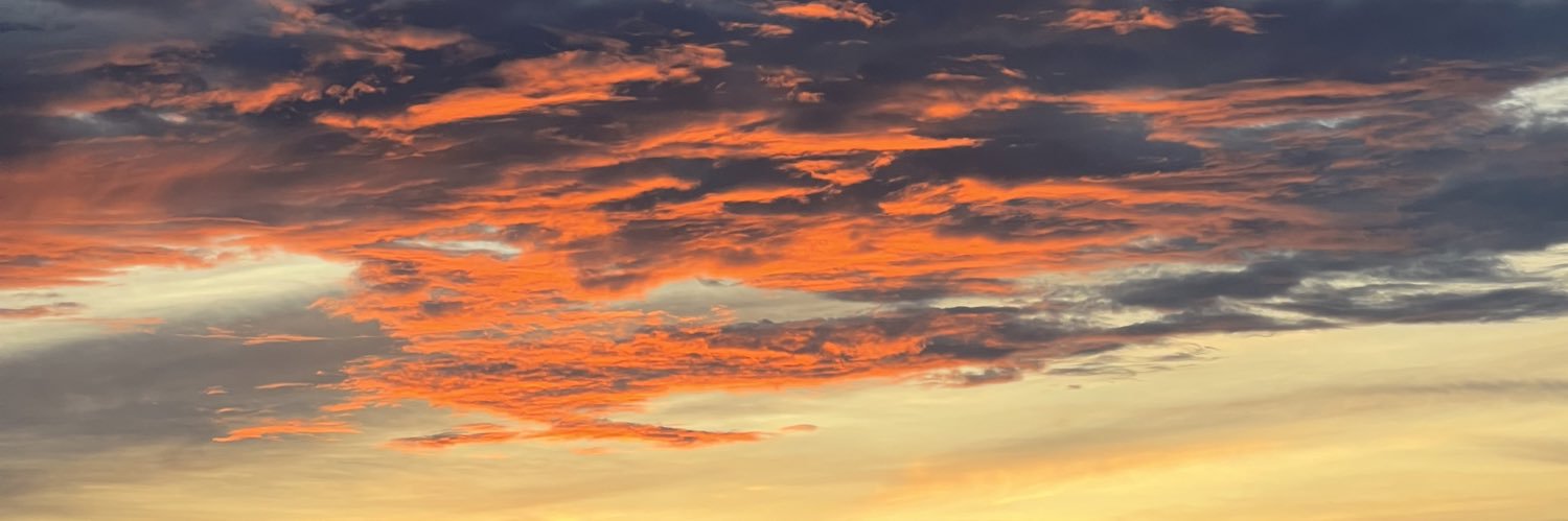 🥬𝑻𝒆𝒓𝒏𝒊𝒆 banner