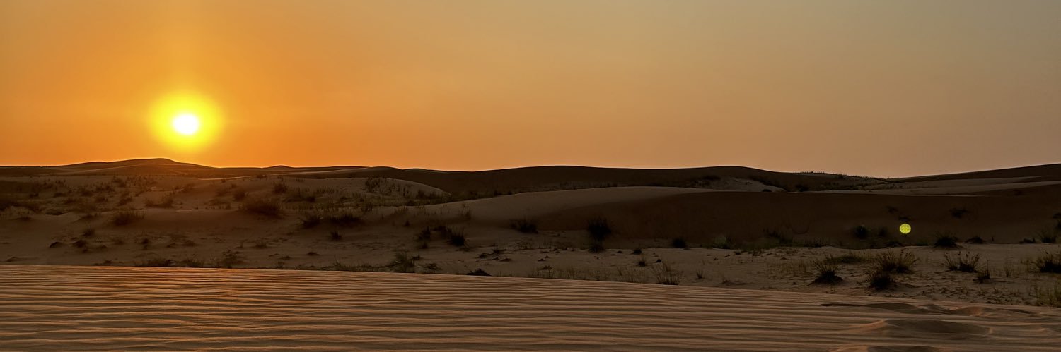 Гном Пельменыч banner