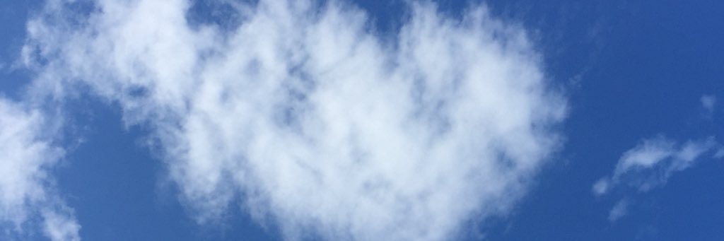 antogaia's profile banner image