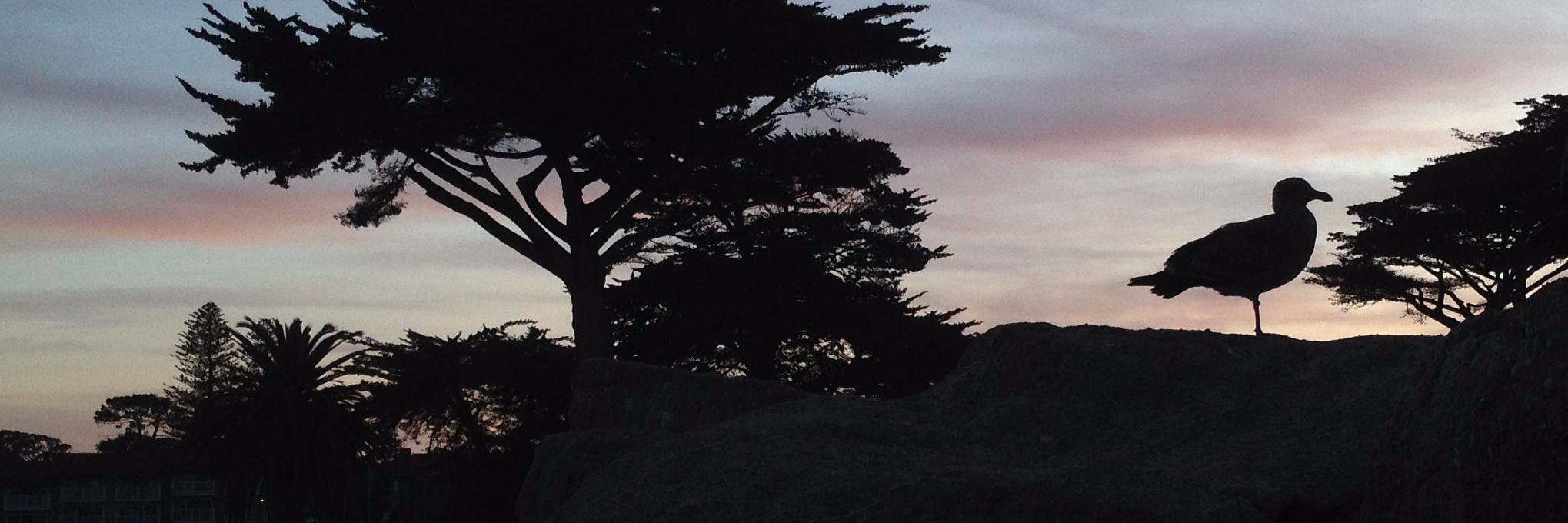SlpSummer's profile banner image