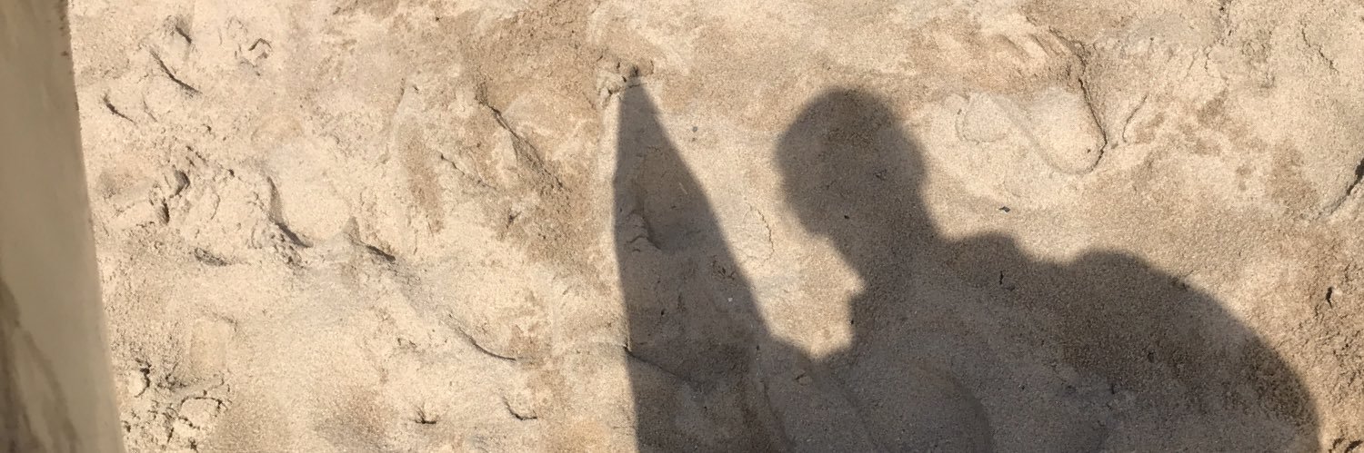 Stanvandendrie2's profile banner image