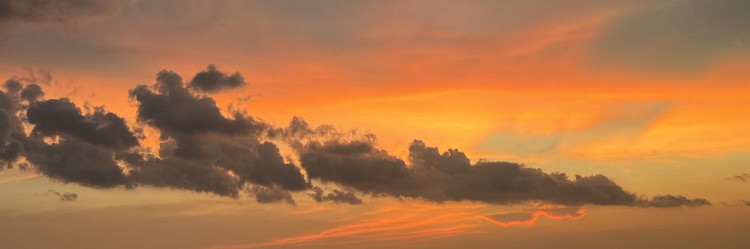 _leeennnaaaa's profile banner image