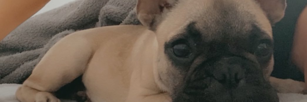 Ryleigh314's profile banner image