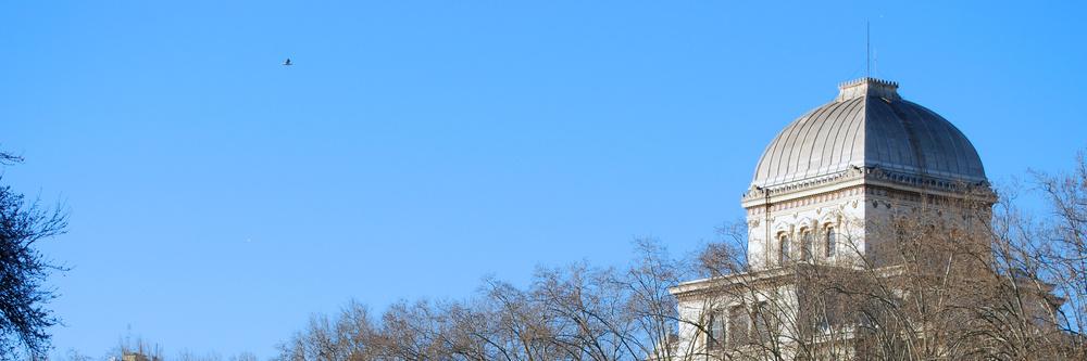 Ruth Dureghello banner