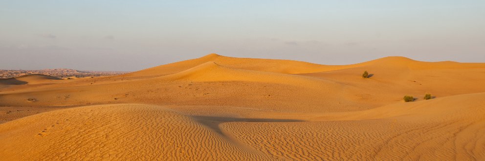 Keary Shandler banner