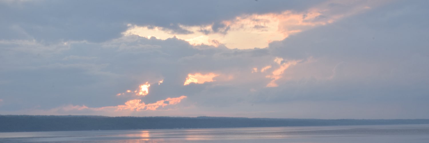shelliekpeters's profile banner image