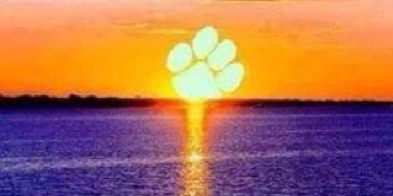 Tiger_DB's profile banner image