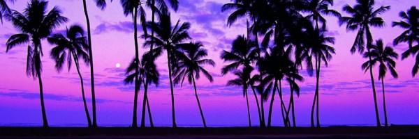 MariaLuizaAlve7's profile banner image