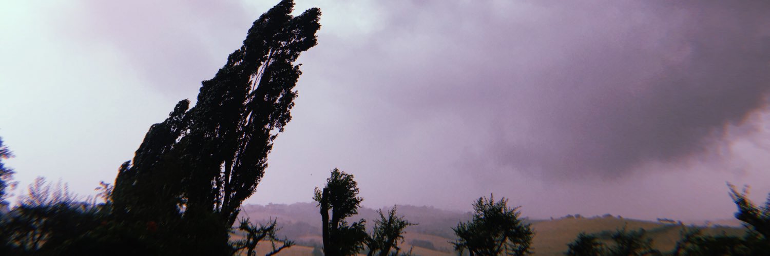 redcolochili's profile banner image