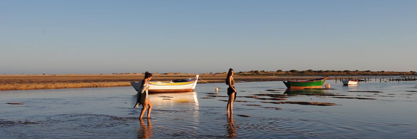 Alejandra banner