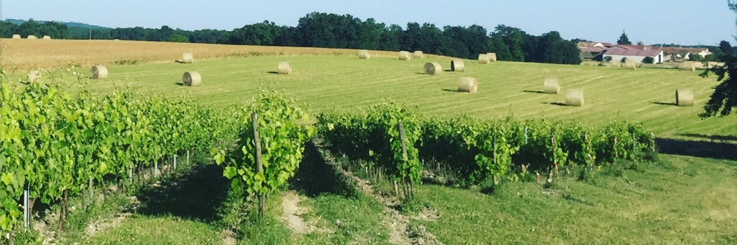 Paul Brethenoux banner