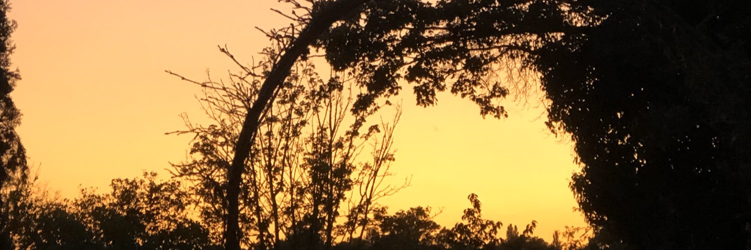 cflg_16's profile banner image