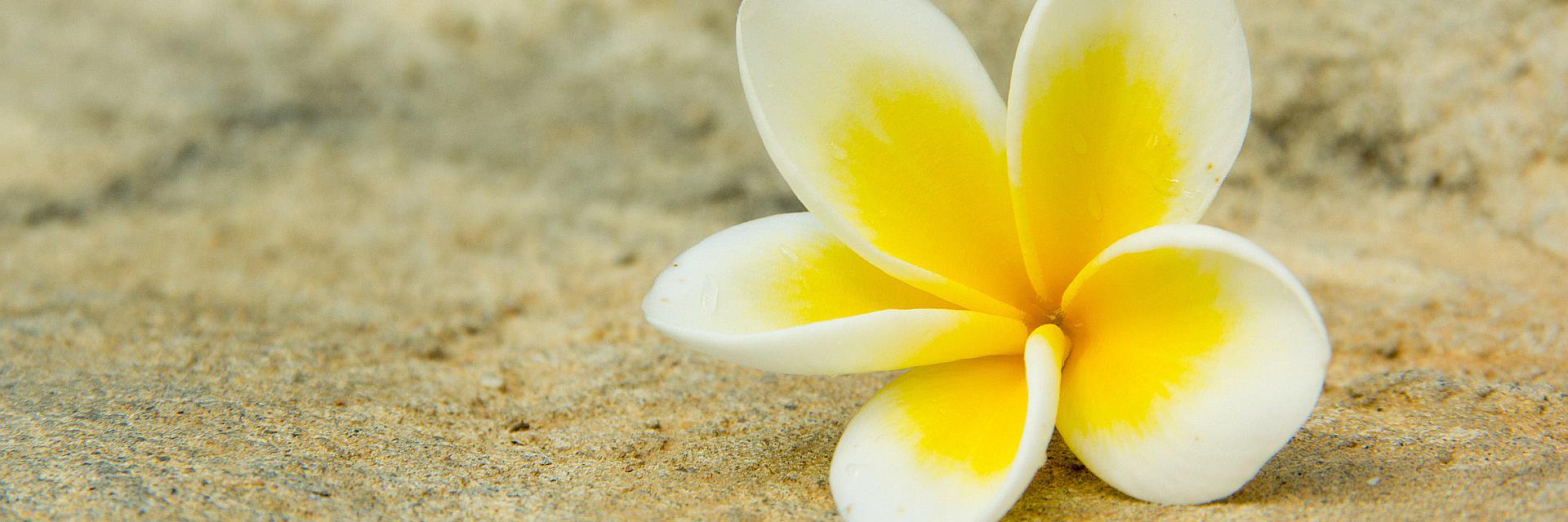 islandstyledmc's profile banner image