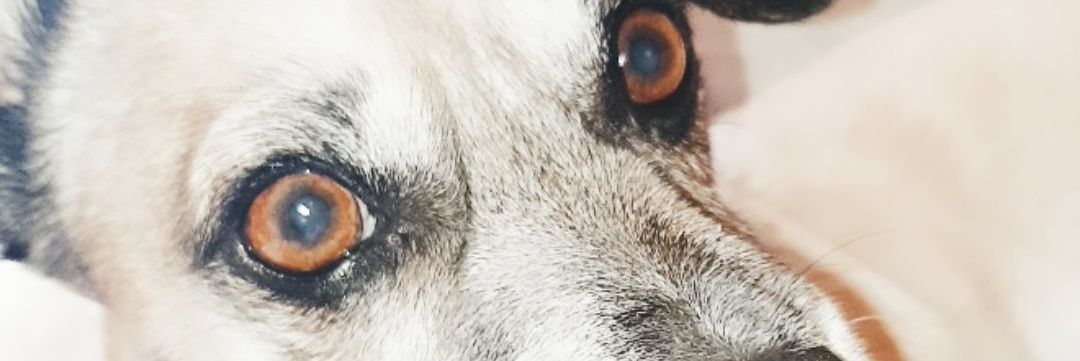 IrhContreras's profile banner image