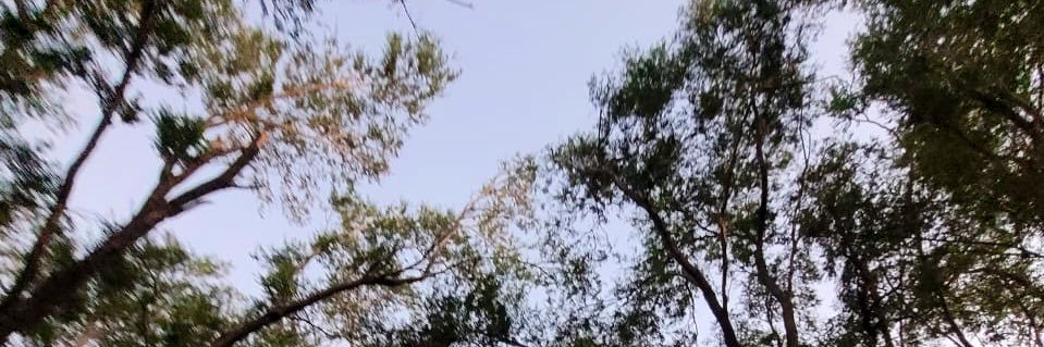 ValenFulcheri's profile banner image