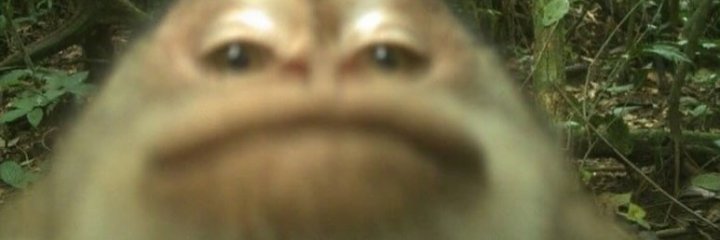 Suspeito73's profile banner image