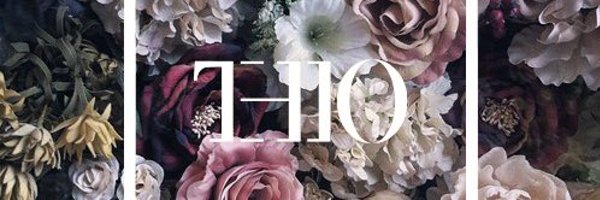 adityathio Profile Banner